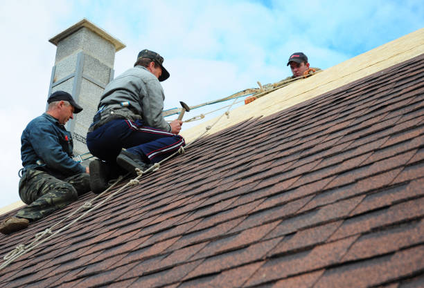 Professional Roofing Contractor in Platteville, CO